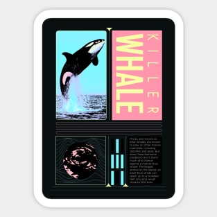 KILLER WHALE_5 Sticker